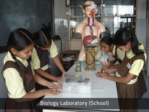 Biology Laboratory (School)